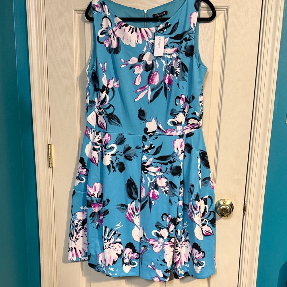 Roz & Ali Blue and Pink Floral Spring Mini Dress